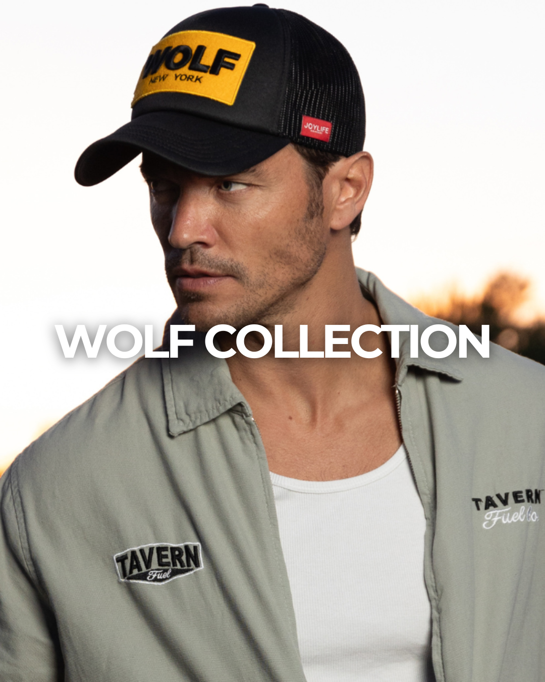 WOLF COLLECTION