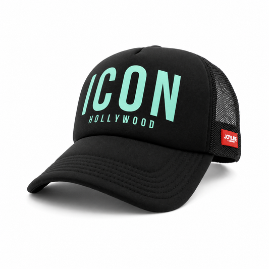 JOYLIFE ICON Hollywood Black Mint cap angled view with curved visor